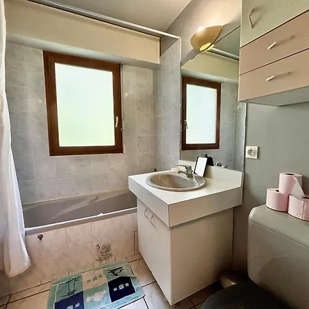 Agreable 2 Pieces Avec Terrasse, Parking, Proche Lac Et Commerces A Annecy - Fr-1-432-6 *