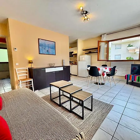 Agreable 2 Pieces Avec Terrasse, Parking, Proche Lac Et Commerces A Annecy - Fr-1-432-6 Apartment *